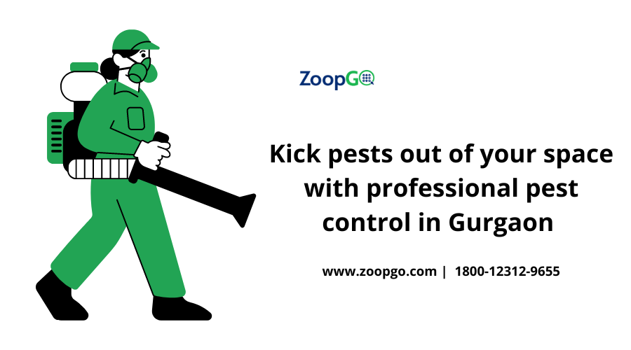 Kick pests out of your space with professional pest control in Gurgaon 