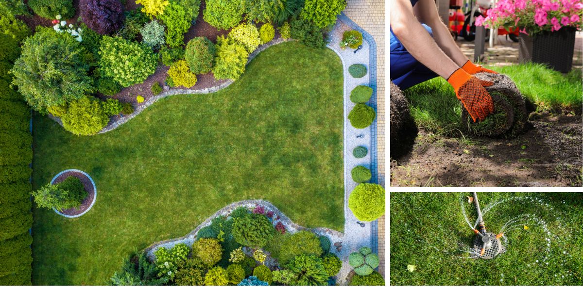 Top Reasons Why You Should Consider Landscape and Irrigation Design Services