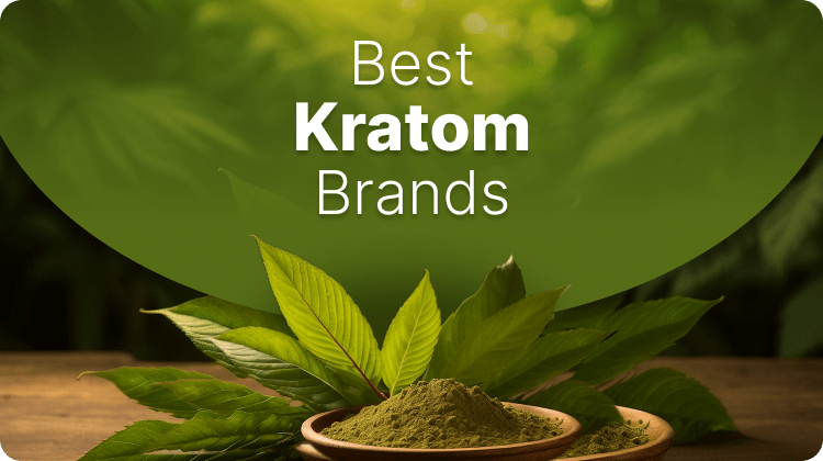 Best Kratom Vendors of 2024 – Explore Top 7 Most Popular Kratom Brands