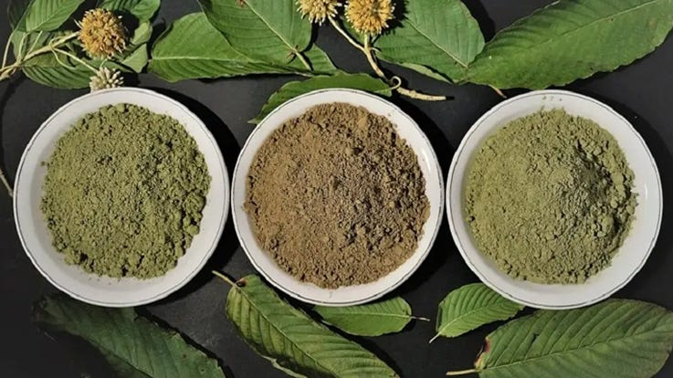 What’s the Best Way to Take Kratom? A Guide to Choosing Your Method