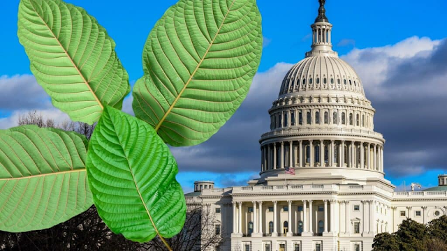 What is the Kratom Consumer Protection Act?