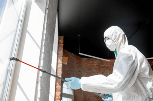 The Effects of Climate Change on Mold Growth in Homes