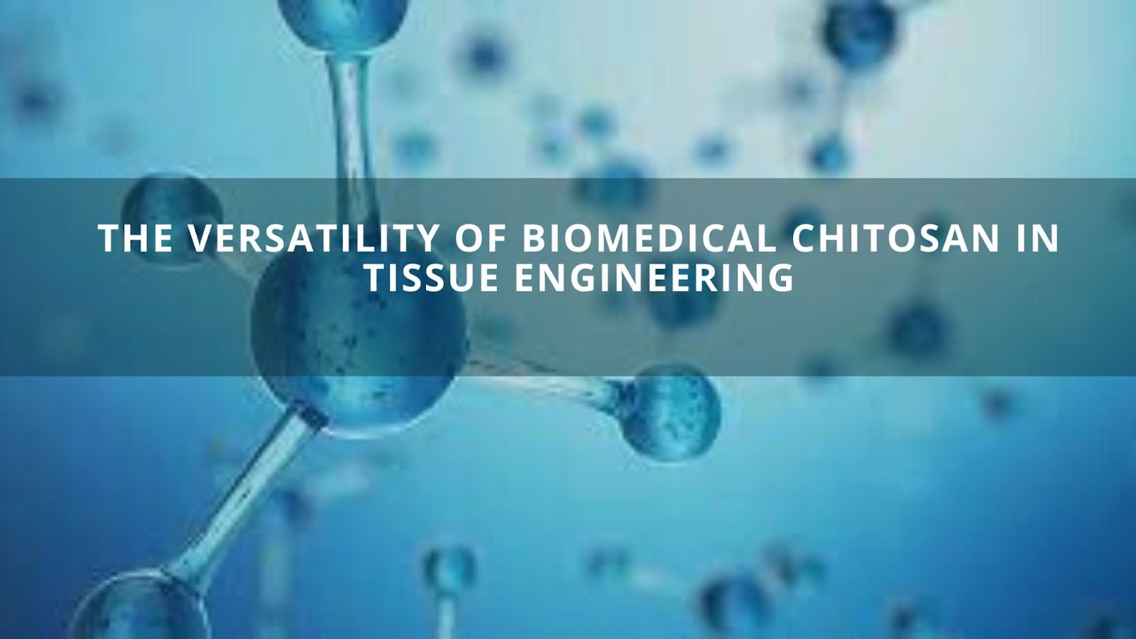 The Versatility of Biomedical Chitosan in Tissue Engineering