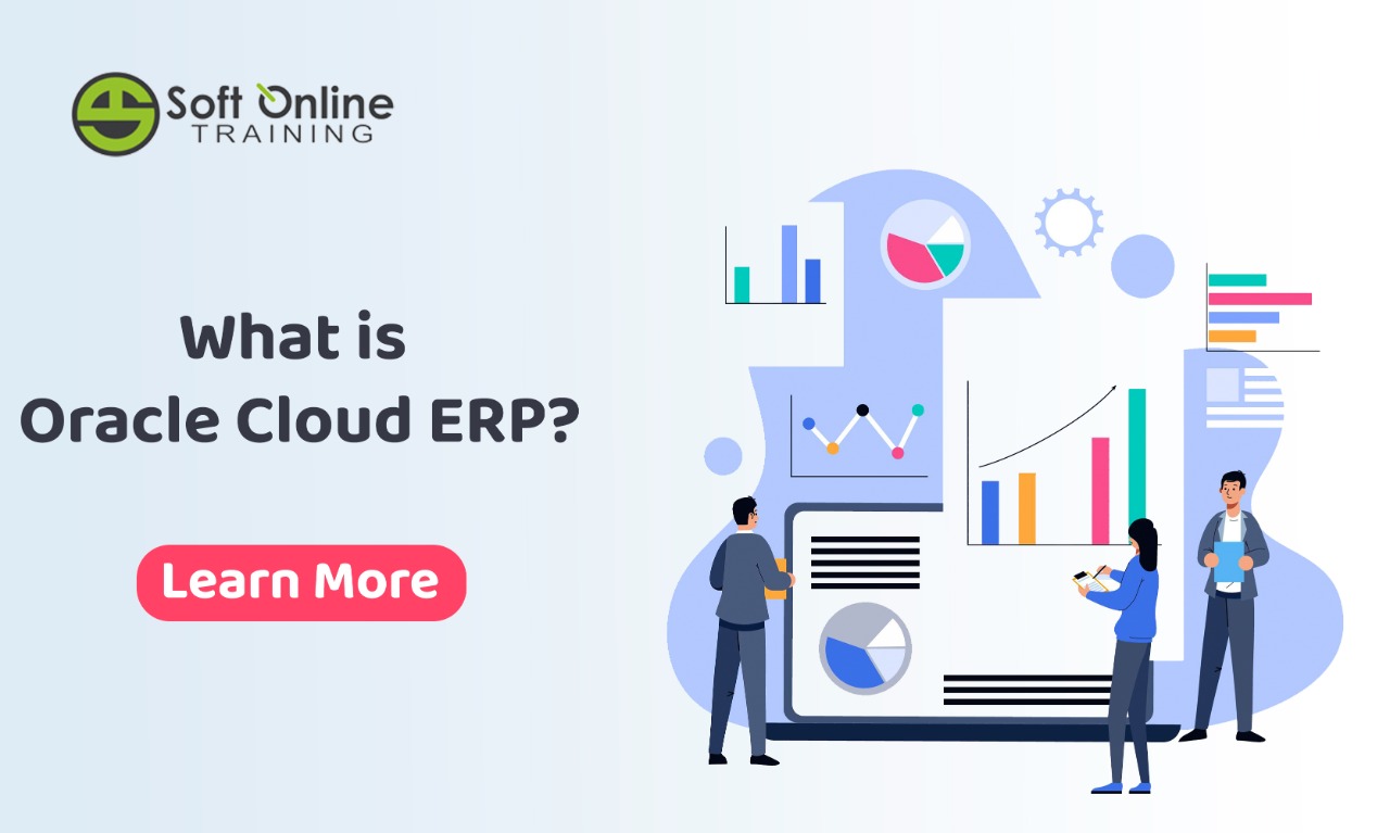 What is Oracle Cloud ERP ?