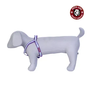 5 Reflective Dog Harnesses For Your Dog