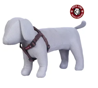 The Best Dog Belts For Large Dogs