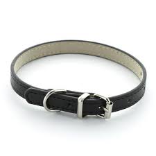 How to Choose the Right Dog Belt Neck For Your Dog