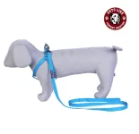 Discounts and deals on dog accessories belts