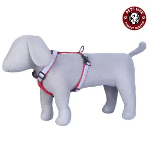 The Best Reflective Dog Harnesses For Dogs