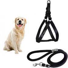 The Best Dog Leash For Medium Dogs
