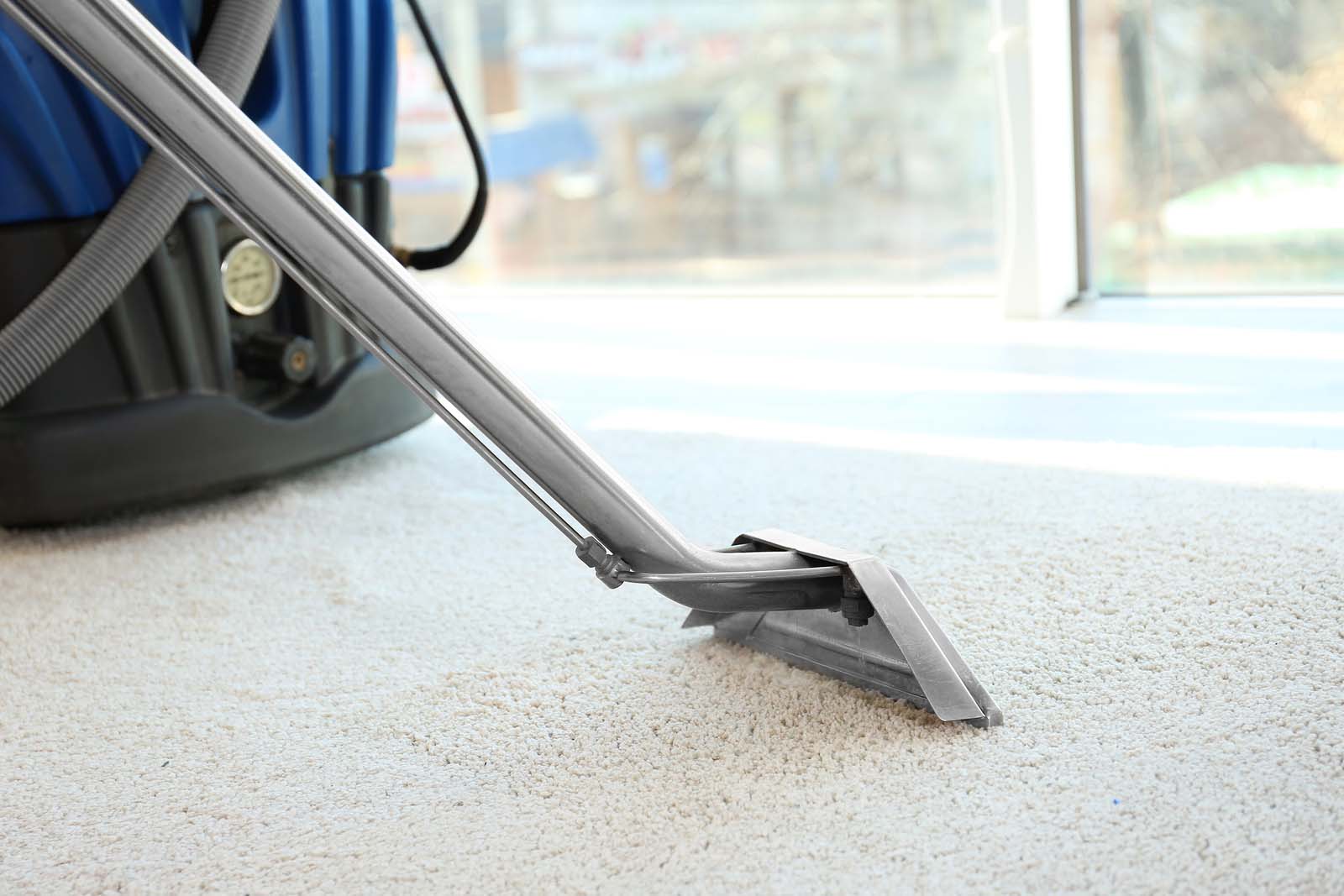 What to know about professional carpet cleaning prior to booking?