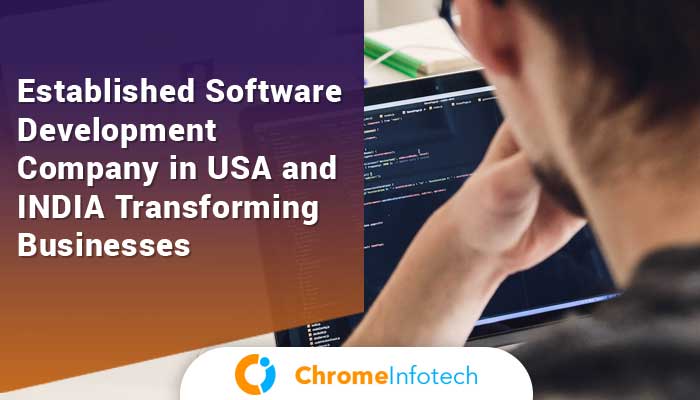 USA Based Software Development Company Shaping Businesses