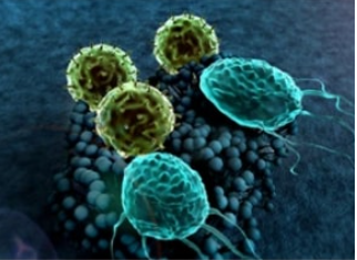 The Role of Macrophage Polarization in Therapeutic Strategies
