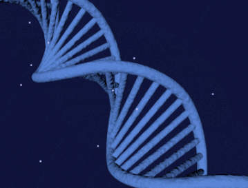 Research Advancement in Combating Monkeypox Virus