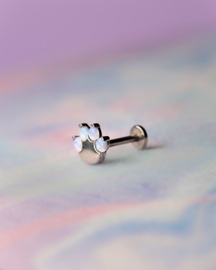 Daith Piercings Stores in Australia at Offyatree