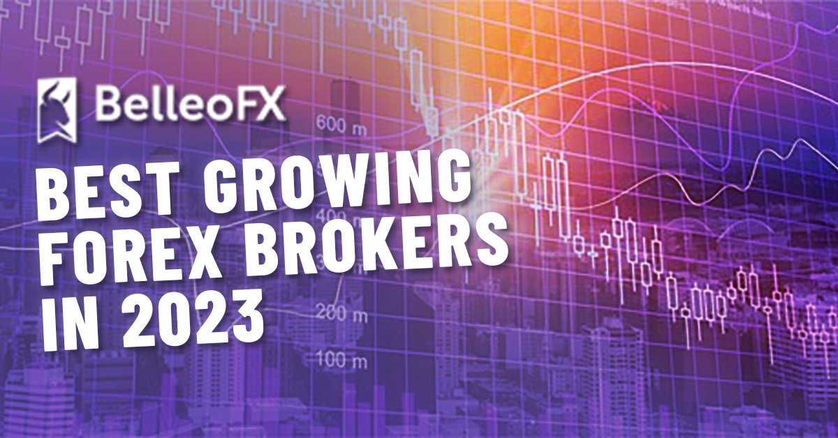 BelleoFX- The Best Forex Brokers in 2023