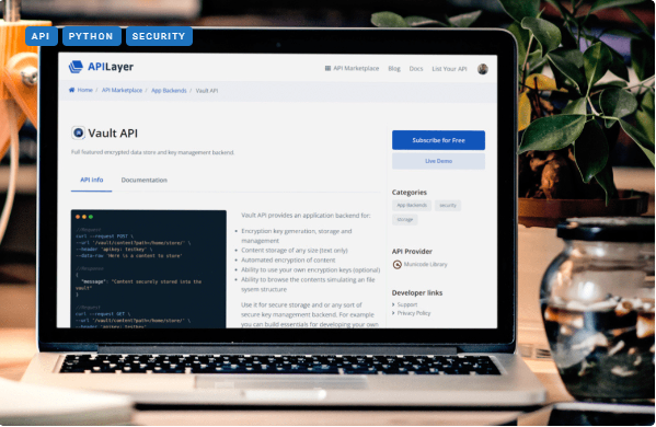 What Exactly Does the Vault API Do?