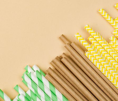 How to Launch a Paper Straw Manufacturing Company?
