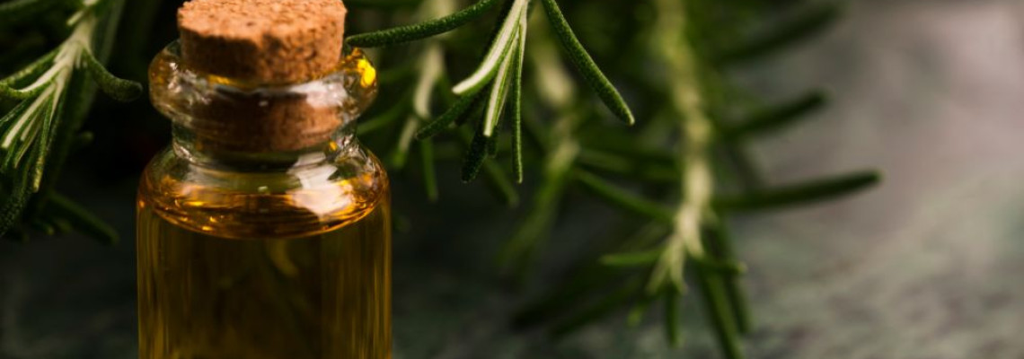 Rosemary Essential Oil Uses and Benefits
