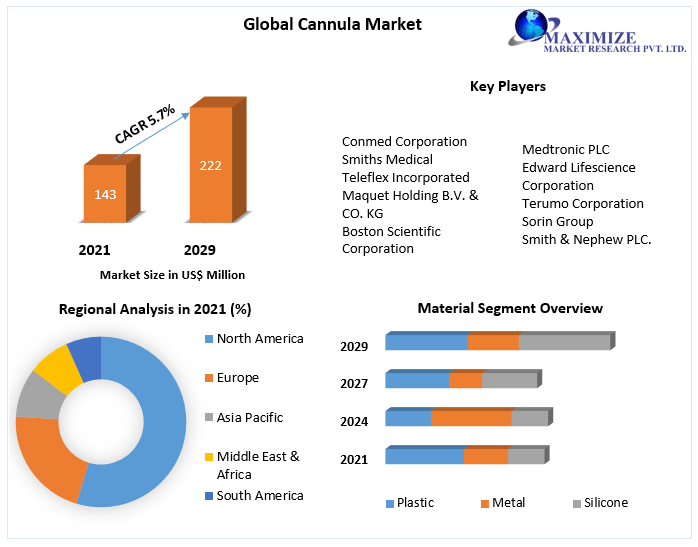 Cannula Market Analysis by Size, Share, Opportunities, Revenue, Future Scope and Forecast 2029