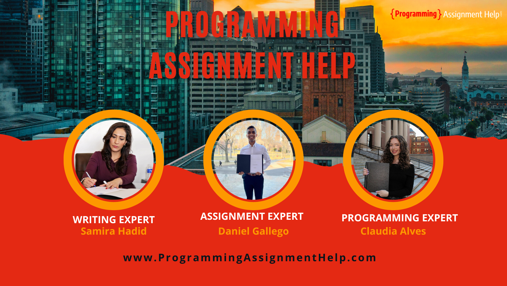 Online Programming Assignment Help