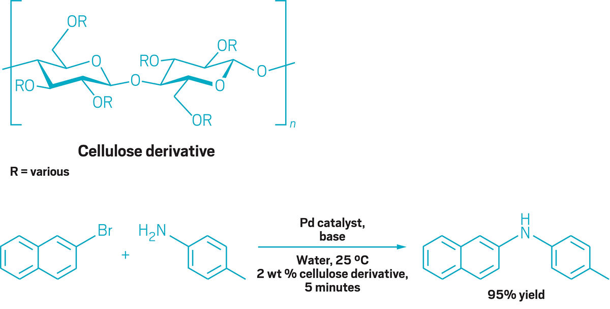 Cellulose Derivative Market Size in 2023, Share, Competitive Environment, and Key Regions in 2030