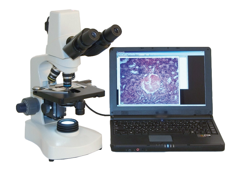 Digital Microscopes Market Innovations: Pioneering Microscopy Techniques