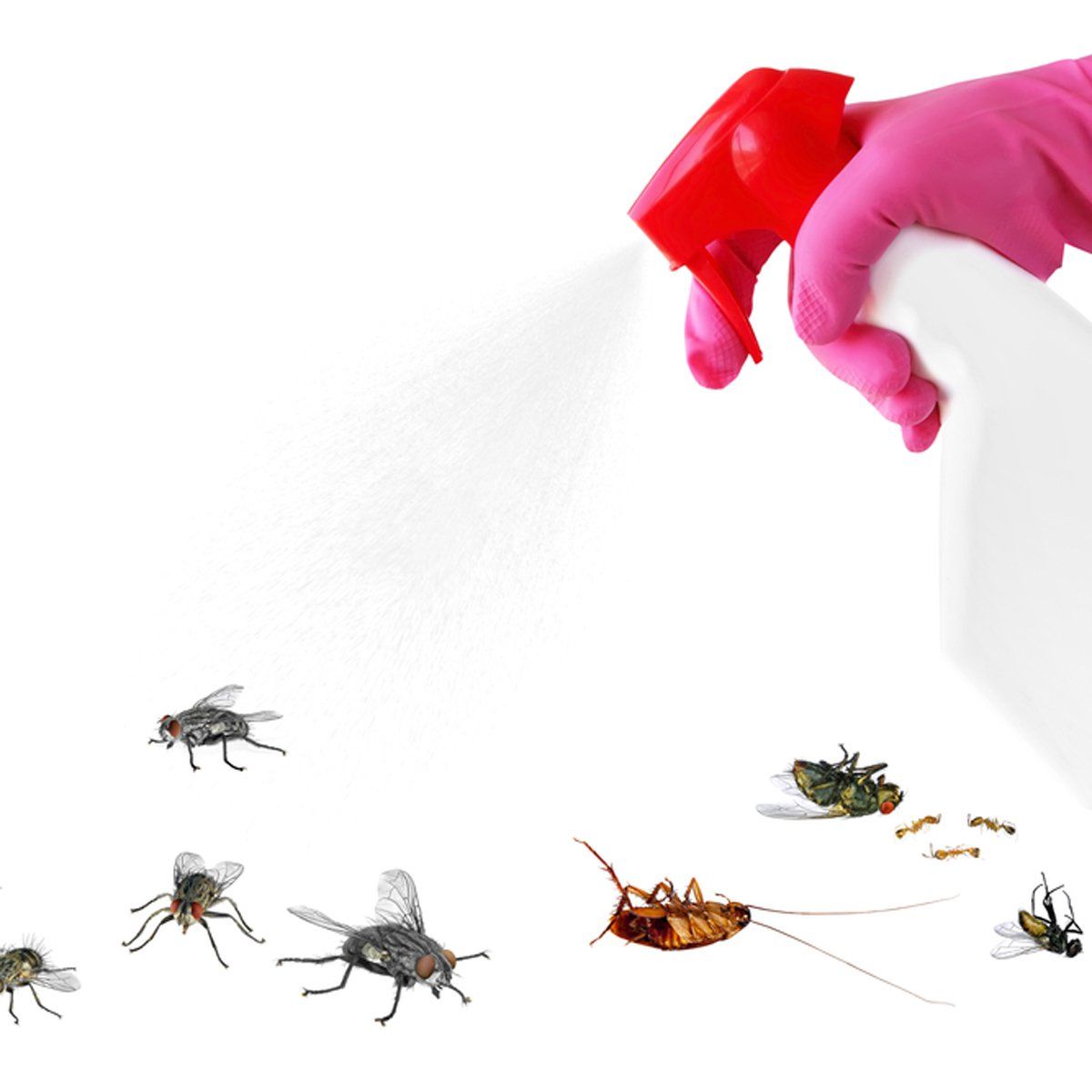 Household Insecticides Market 2022 Global Growth Insights, Latest Technologies and Emerging Trends Forecast to 2028