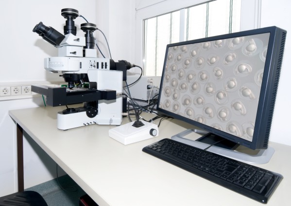 Digital Microscopes Market Breakdown: Understanding Technological Segments