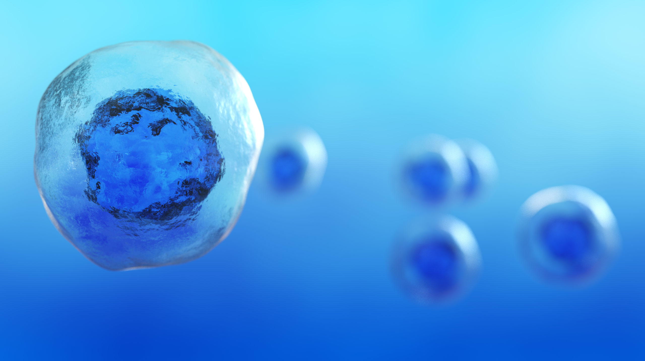 Autologous Stem Cell and Non-Stem Cell Based Therapies Market: Empowering Personalized Medicine