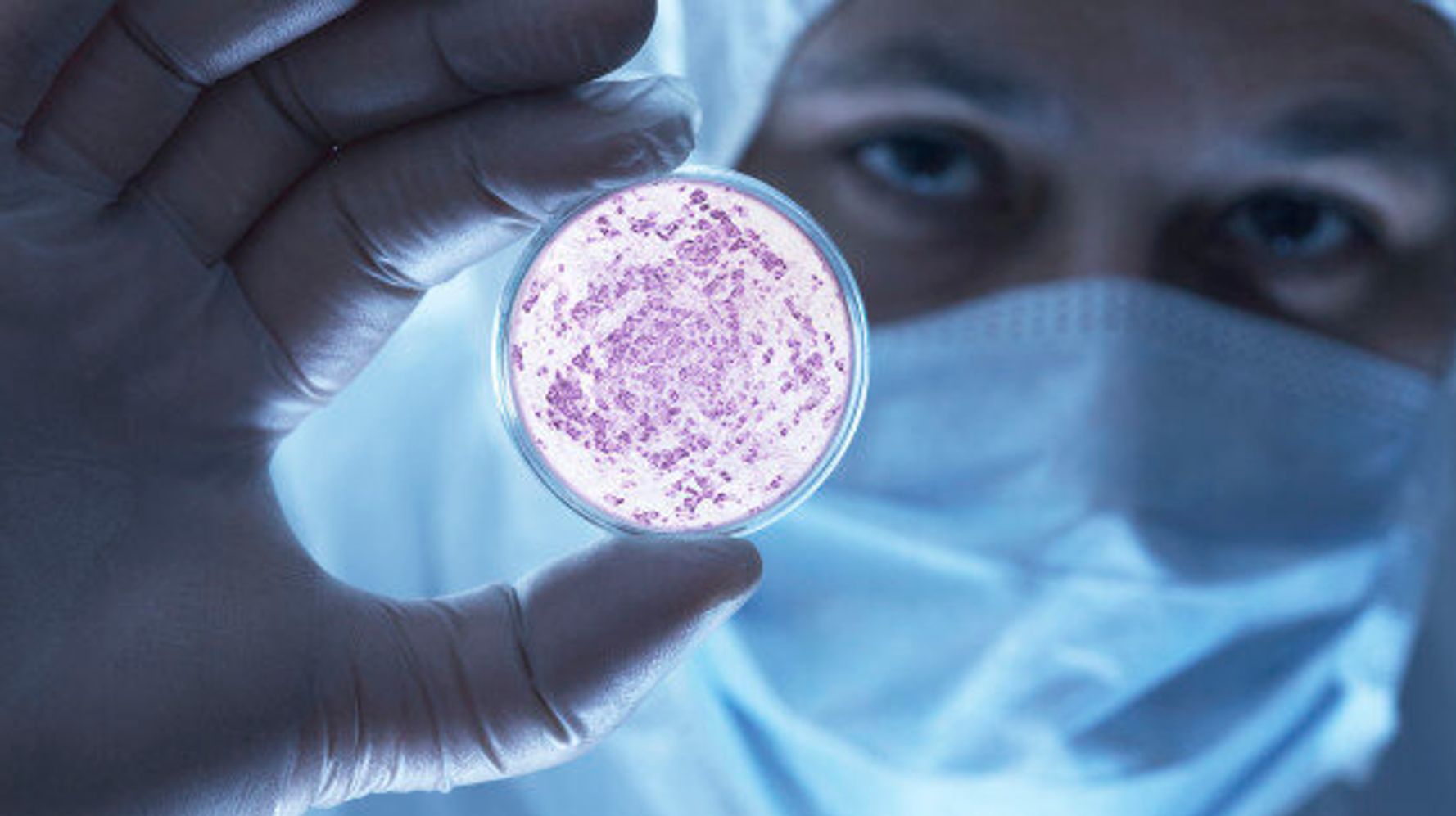 Infectious Disease Therapeutics Overview: Understanding Interventions