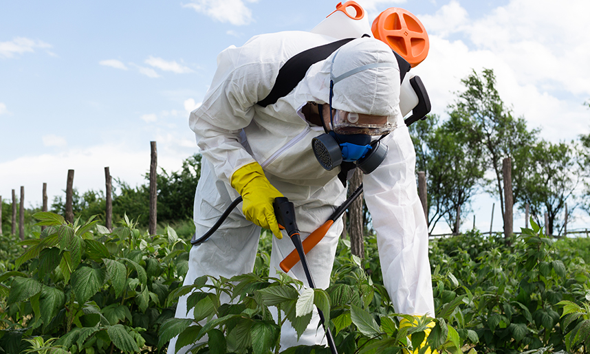 Agricultural Gloves Market Insights: Harvesting Growth Opportunities