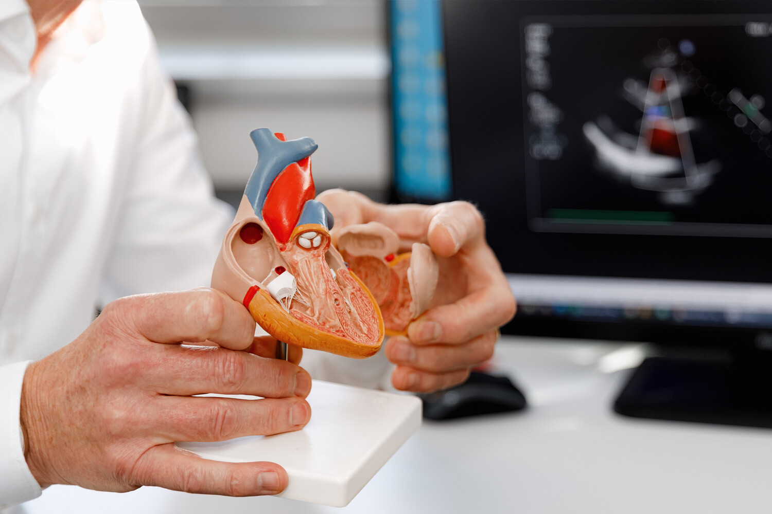 Prosthetic Heart Valve Development: Future Directions