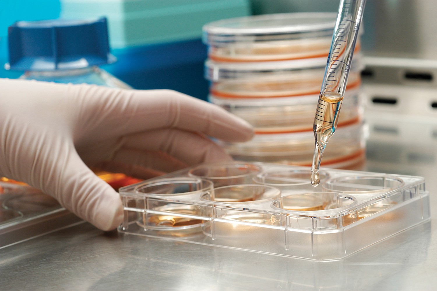 Cell-based Assay Market Landscape: Regulatory Environment and Compliance