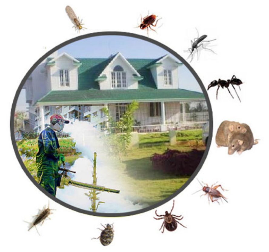 Household Insecticides Market Growth, Segmentation, Industry Analysis, Top Key Players |