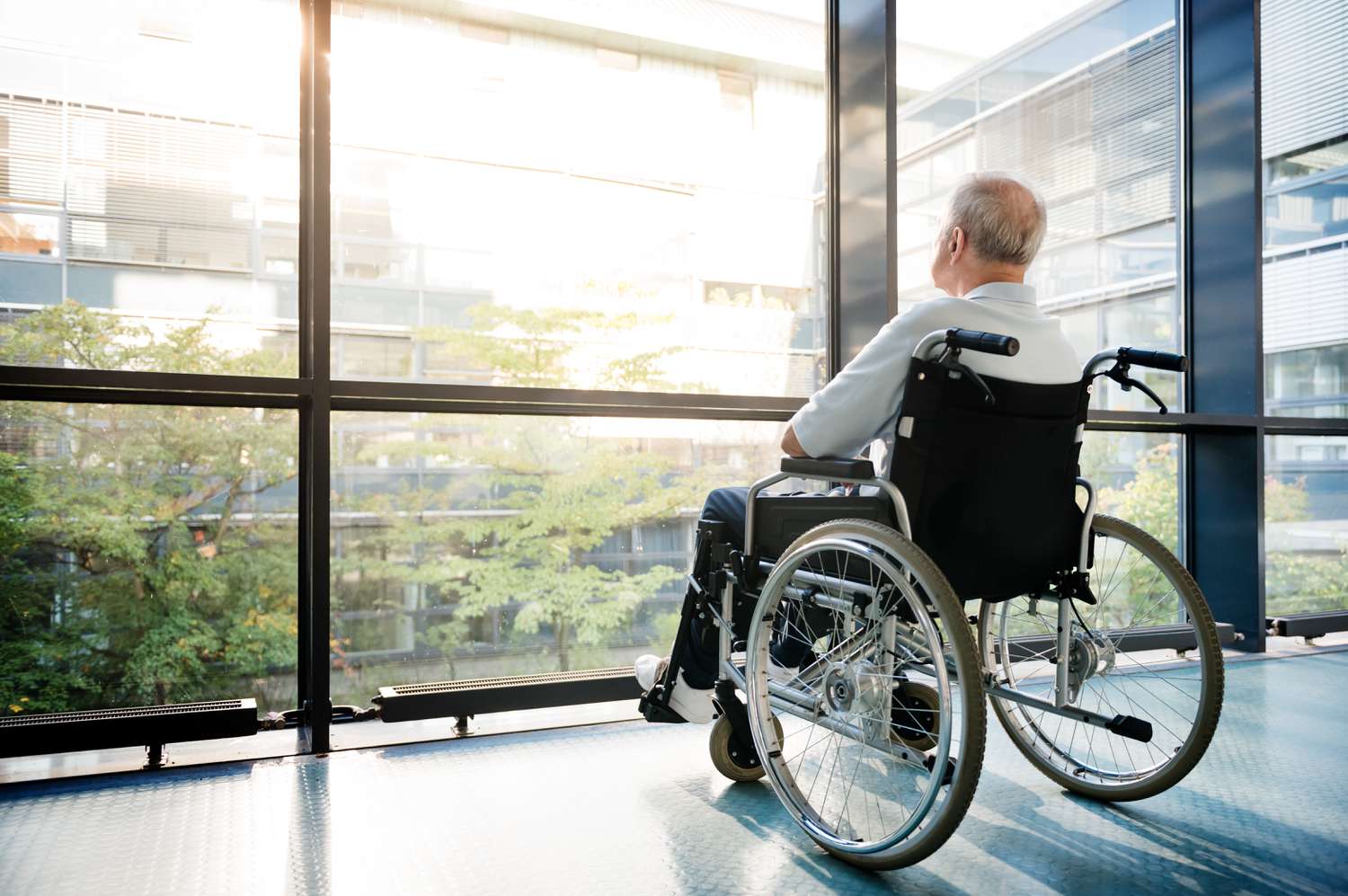 Elderly and Disabled Assistive Devices Market Triumph: Uplifting Quality of Life