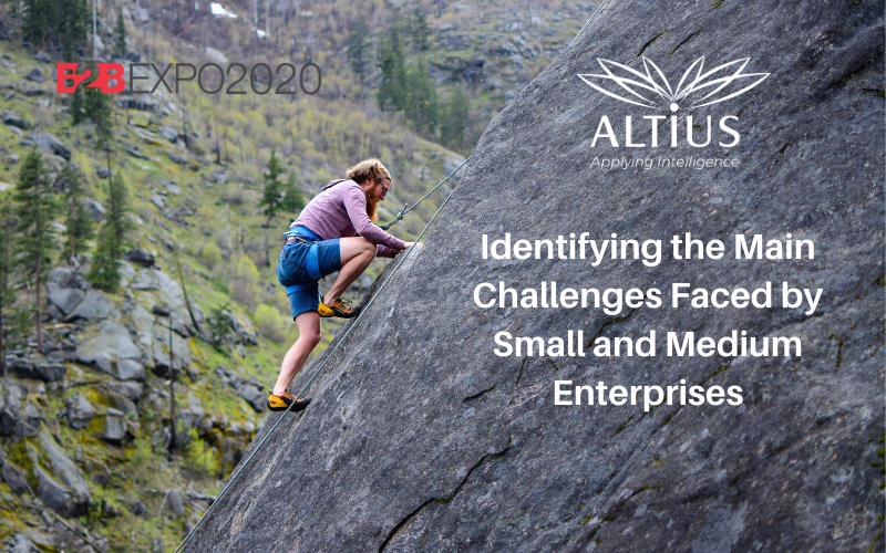 Identifying the Main Challenges Faced by Small and Medium Enterprises