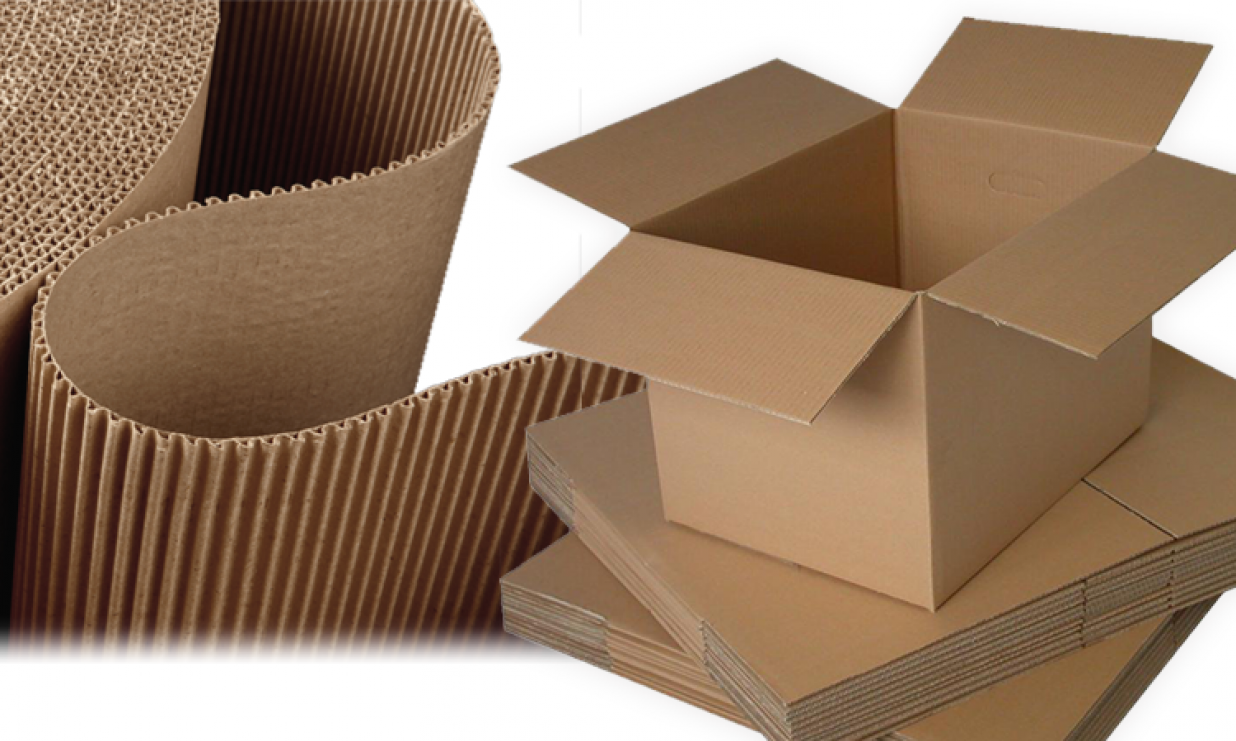 Paper and Paperboard Packaging Market Size, Share & Growth Analysis And Regional Forecast, 2022-2028