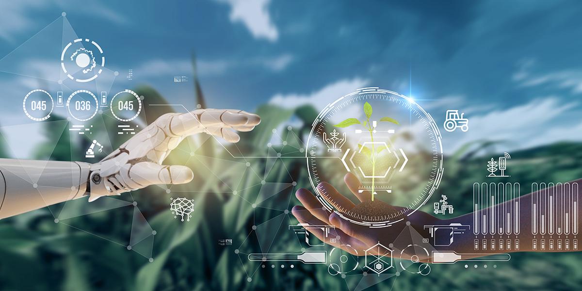 Contracting for success: empowering decision-making with data-driven strategies and AI Staff augmentation