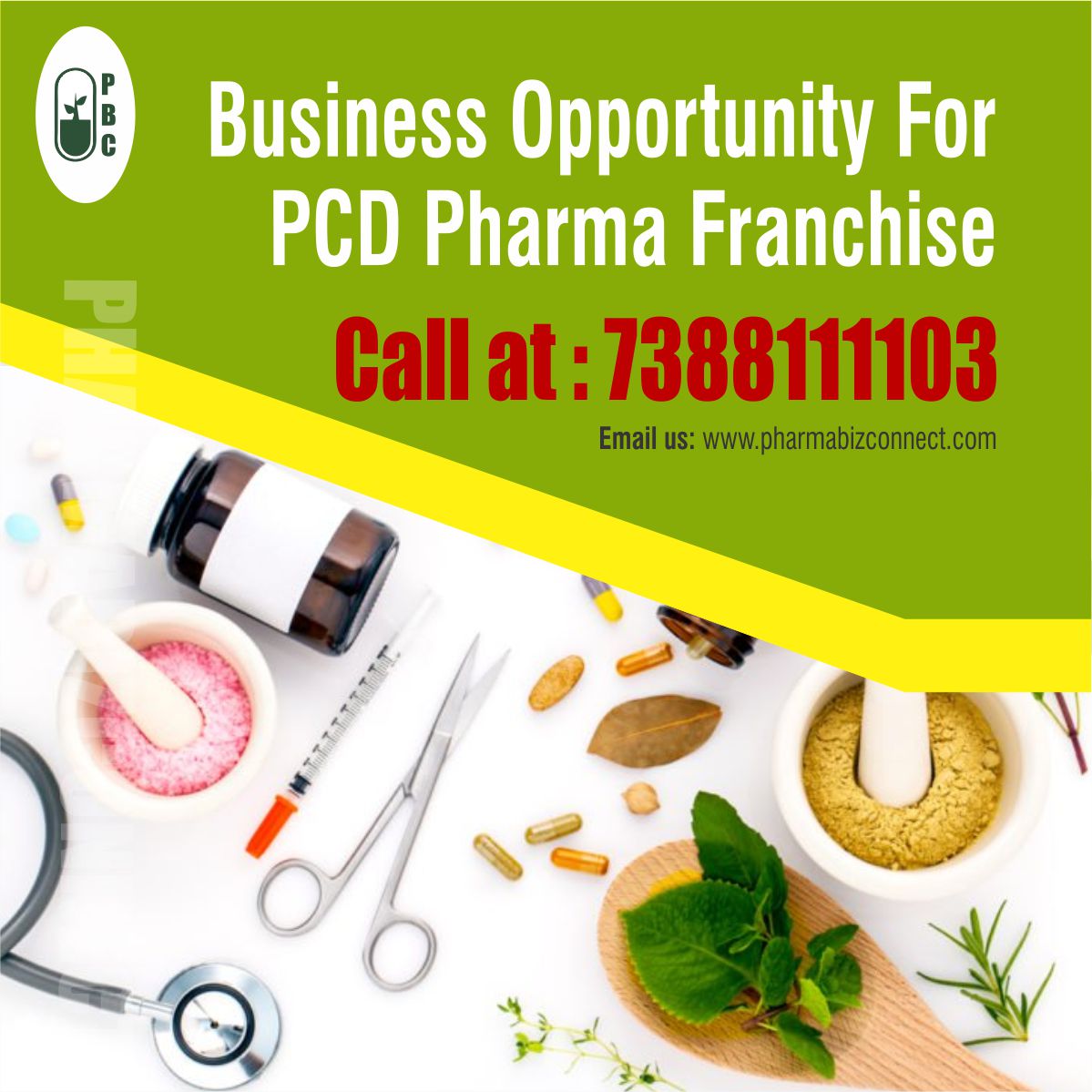 Pharma Franchise Company