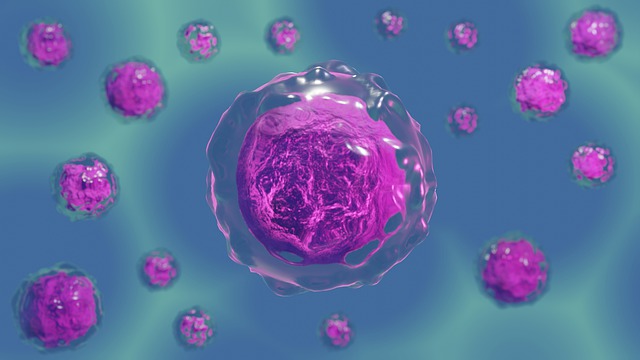 Bsc Biotechnology