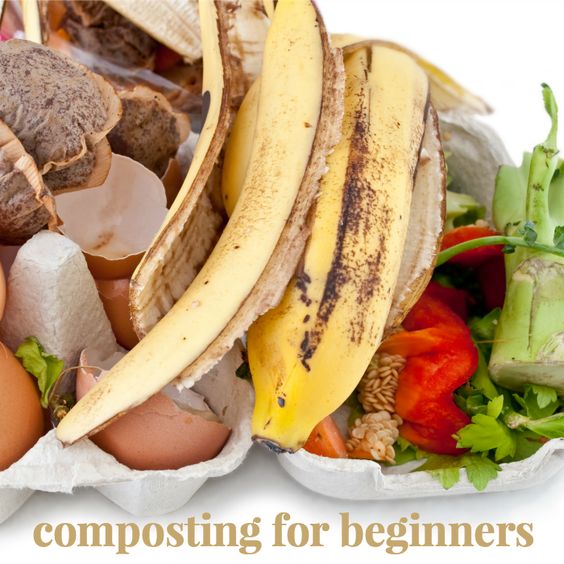 What is the best bagged compost to buy?