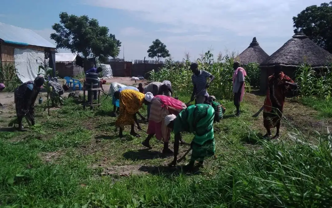 Which Is The Best NGO in South Sudan?