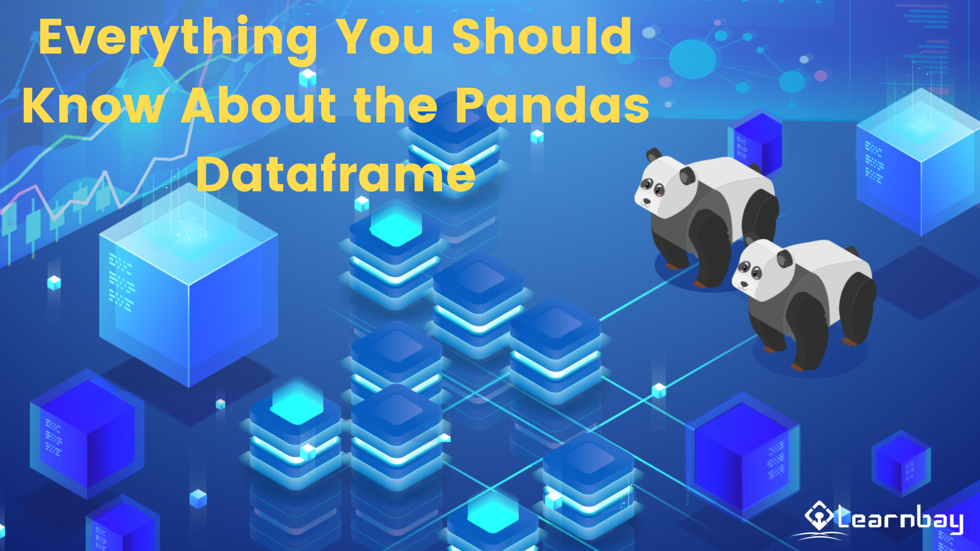 Everything You Should Know About the Pandas Dataframe