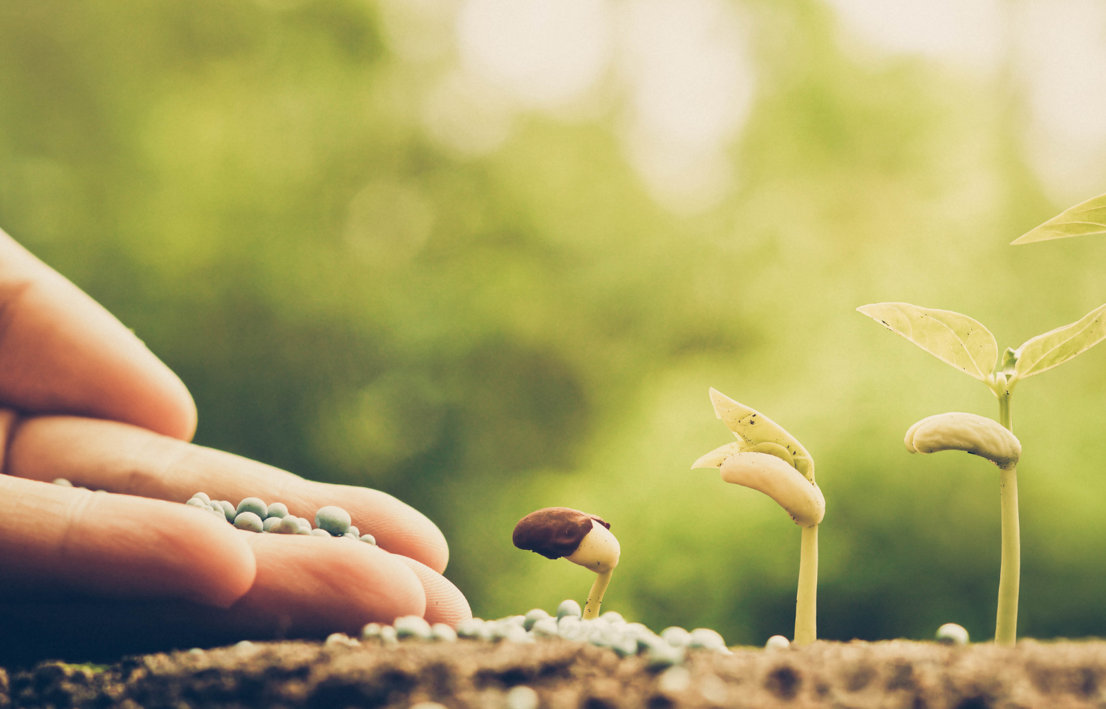 How Australia's Agricultural Industry is Adapting to the Changing World