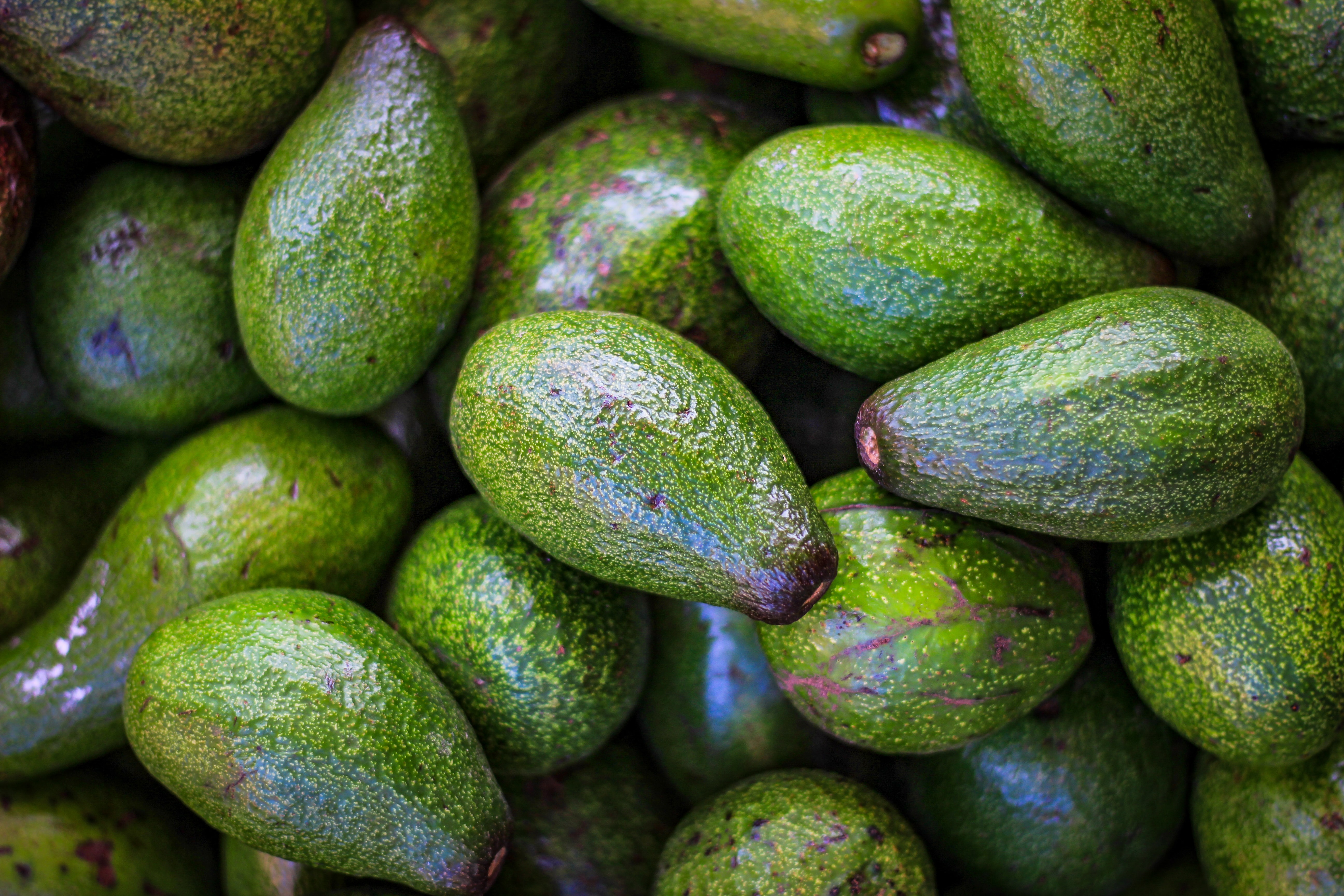 3 Potential Benefits of Eating Avocado Regularly