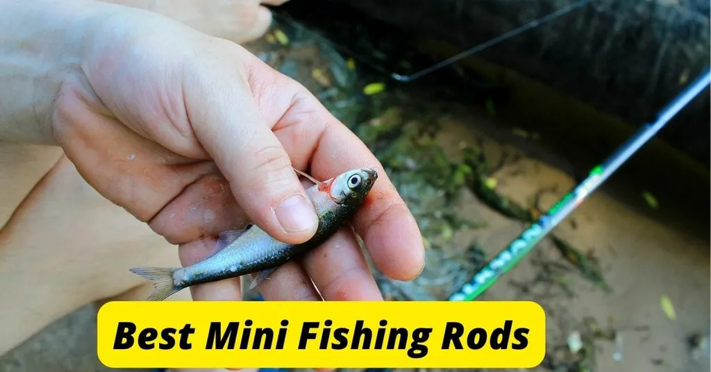 The Best Mini Fishing Rod Review & Guide 2022