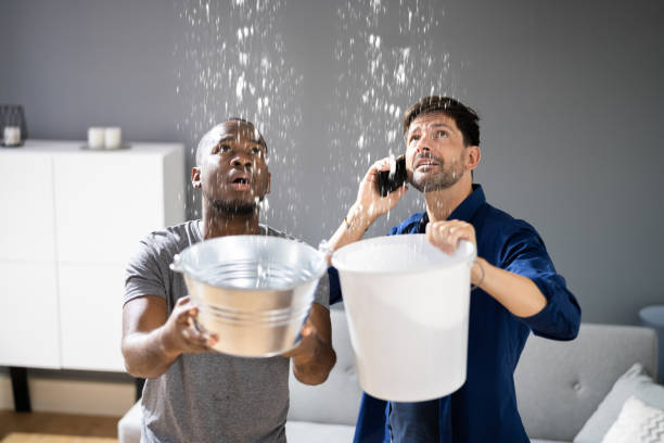 How much a Leaking Roof Repair Costs? Factors to Consider for a Budget-Friendly 