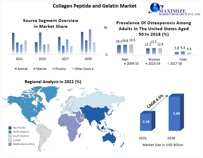 Collagen Peptide and Gelatin Market Major Players: MMR