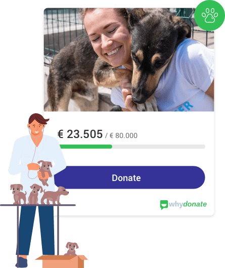 What Do Animal Rescue Groups Do?